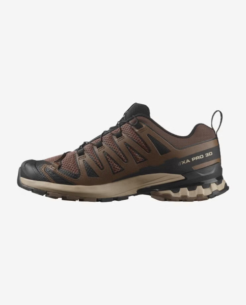 Кроссовки XA PRO 3D v9 (RU 45 UK 11 USm 11.5 СМ 29; falcon/desert tan/black)